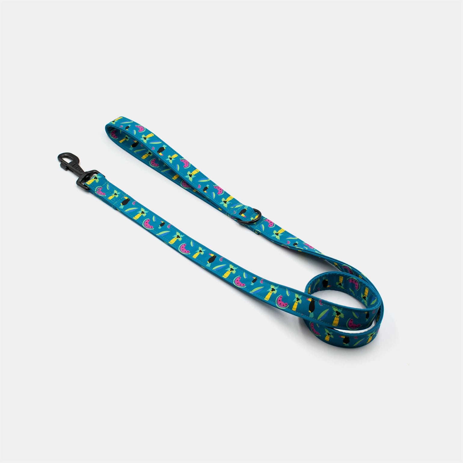 tucan leash.webp