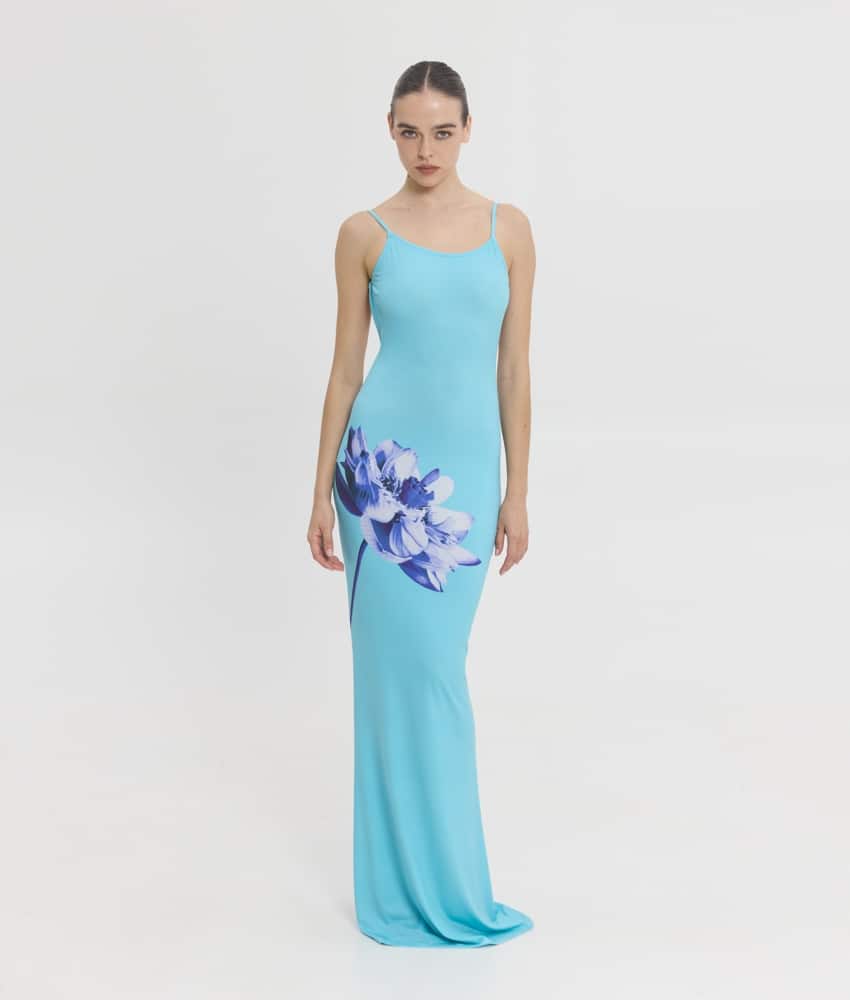 veronica dress